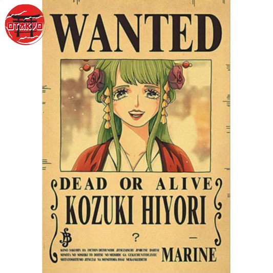 Poster Wanted Hiyori - One Piece™