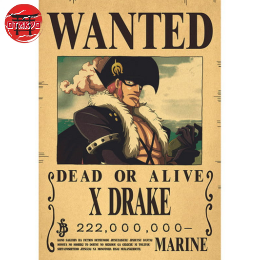 Poster Wanted X Drake - One Piece™
