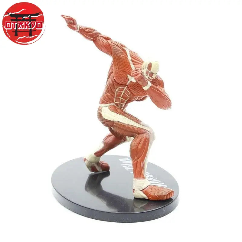 Figurine Titans Colossal - Attaque des Titans
