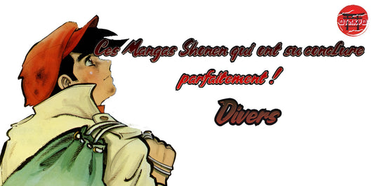 Ces Mangas Shonen qui ont su conclure parfaitement !