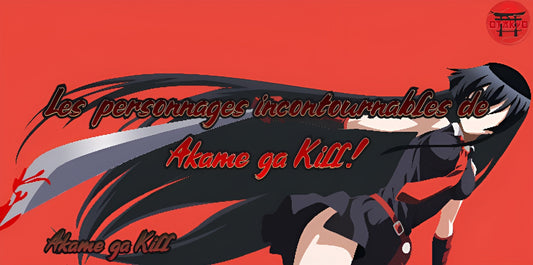 Les personnages incontournables de Akame ga Kill!