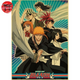 Poster Enlèvement Rukia - Bleach™