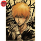 Poster Ichigo - Bleach™