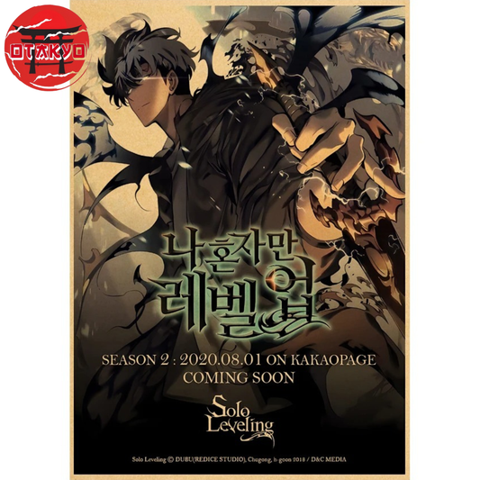 Poster Sung Jinwoo "Retour Du Chasseur" – Solo Leveling™