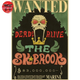 Poster Wanted Brook - One Piece™