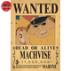 Poster Wanted Machvise - One Piece™