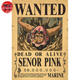 Poster Wanted Senor Pink - One Piece™