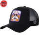 Casquette Tortue Genial - Dragon Ball Z™