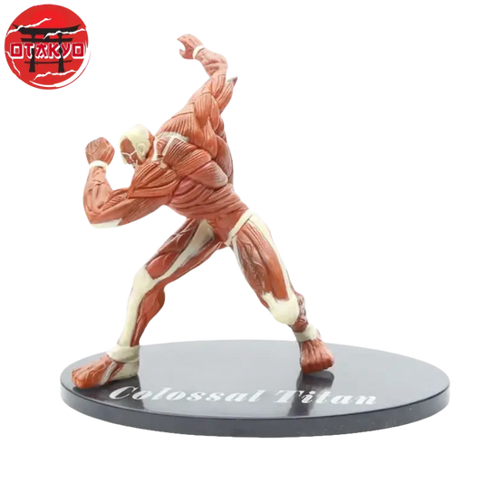 Figurine Titans Colossal - Attaque des Titans