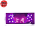 Lampe veilleuse 3D Hisoka - Hunter x Hunter™