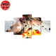 Tableau Katsuki - My Hero Academia™