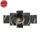 Tableau Shota Aizawa - My Hero Academia™